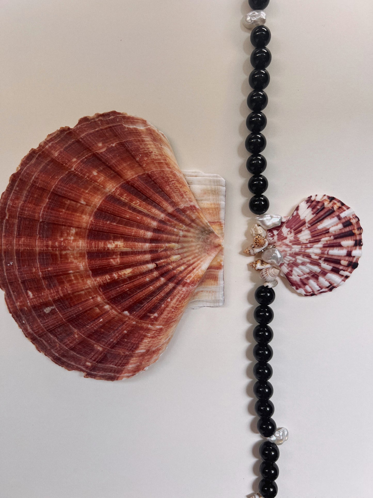 Luma Statement Shell Necklace