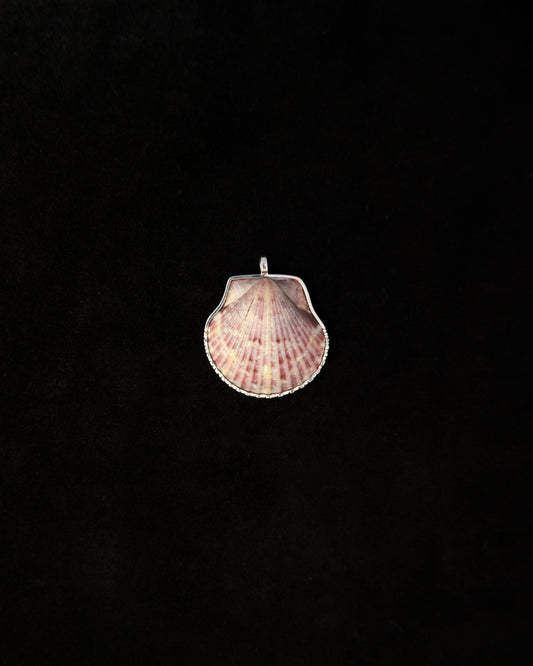 Coquille Pendant